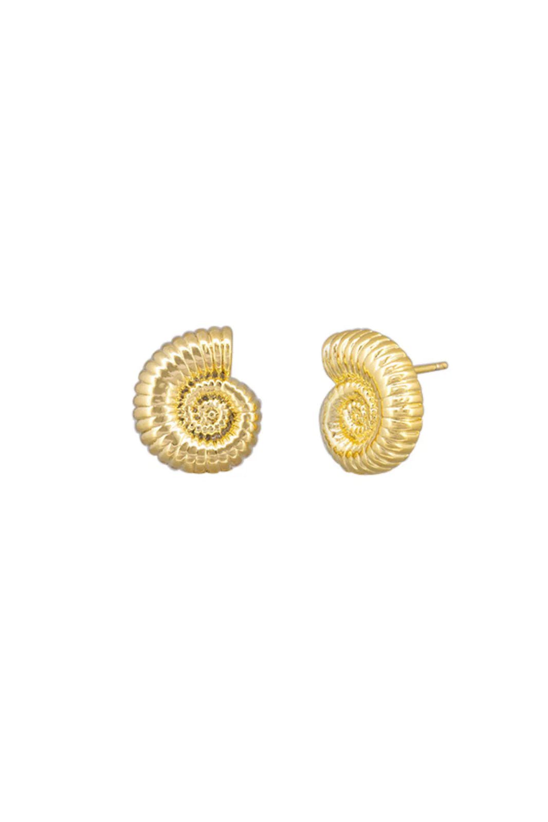 Gold Sundial Shell Earring - Pure Apotheca