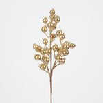Golden Berry Spray - Pure Apotheca