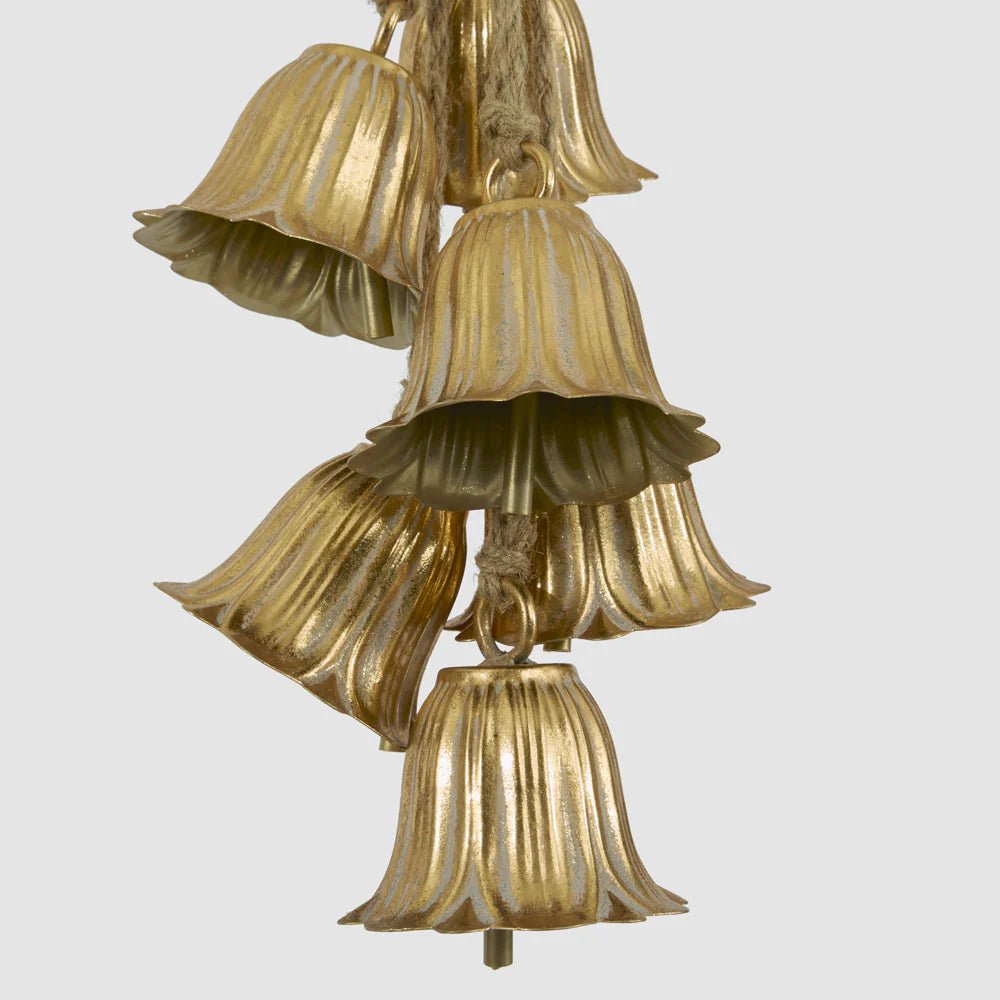 Golden Tulip Hanging Bell Bunch - Pure Apotheca