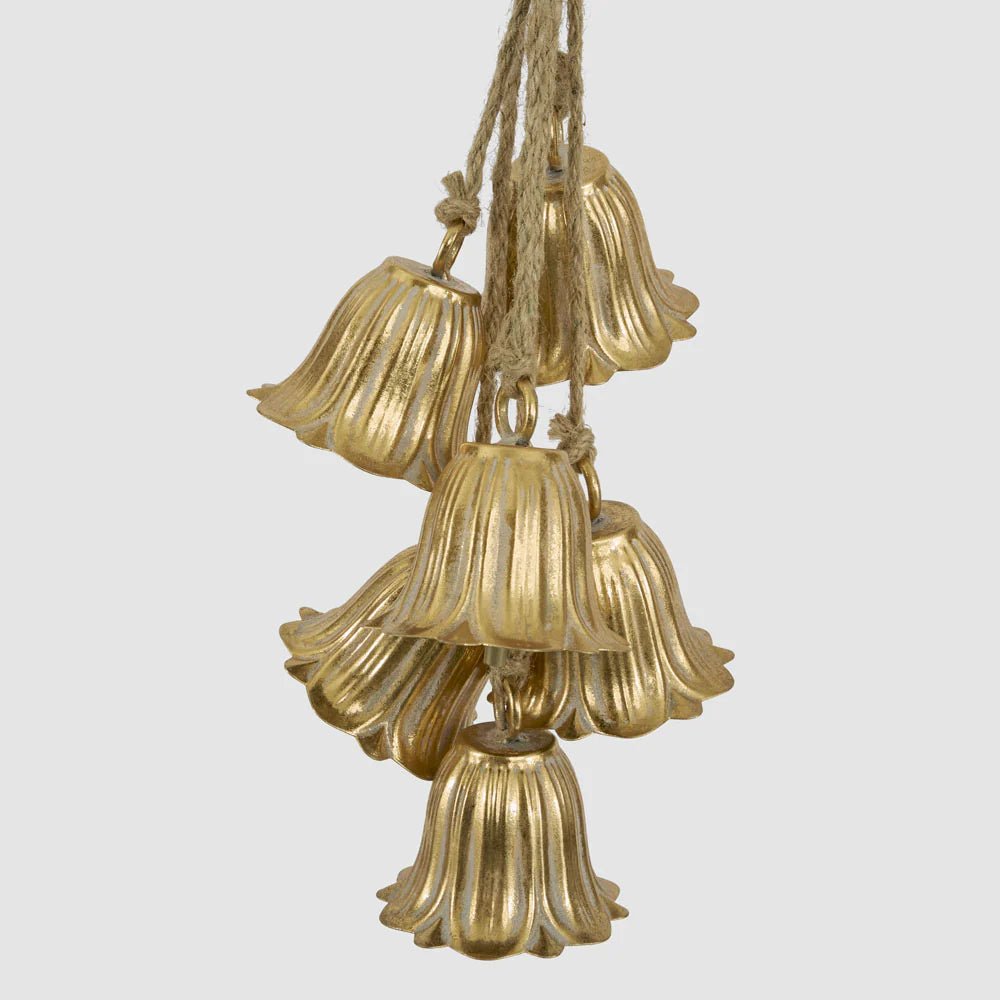 Golden Tulip Hanging Bell Bunch - Pure Apotheca