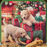 Grandma Wild's Puppies & Presents Shortbread Tin 200g - Pure Apotheca