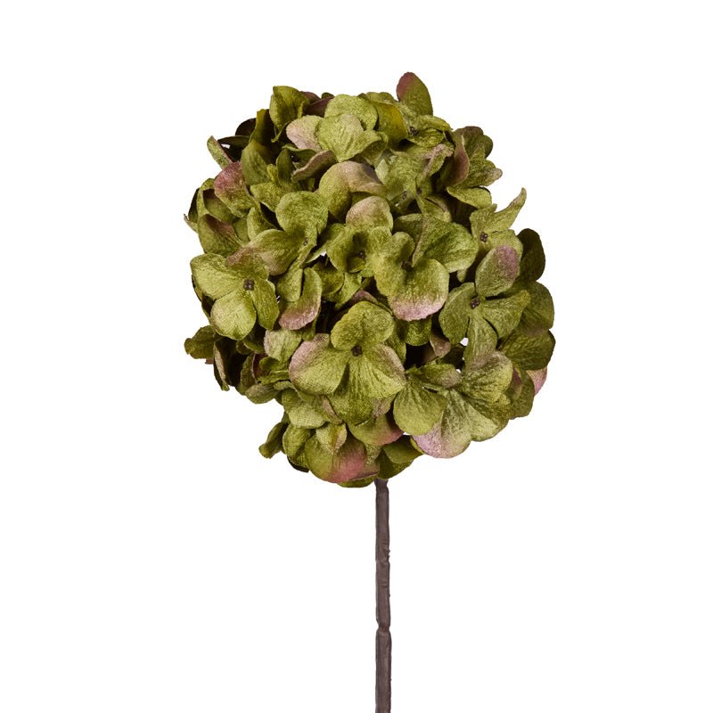 GREEN HYDRANGEA STEM - Pure Apotheca