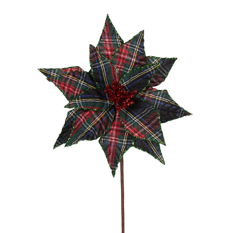 GREEN TARTAN POINSETTIA - Pure Apotheca