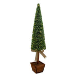 GREEN TREE IN NATURAL WOOD POT LRG - Pure Apotheca