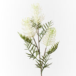 Grevillea Spray White 84cm - Pure Apotheca