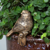 Hanging Bird Decor Gold Tail Down - Pure Apotheca