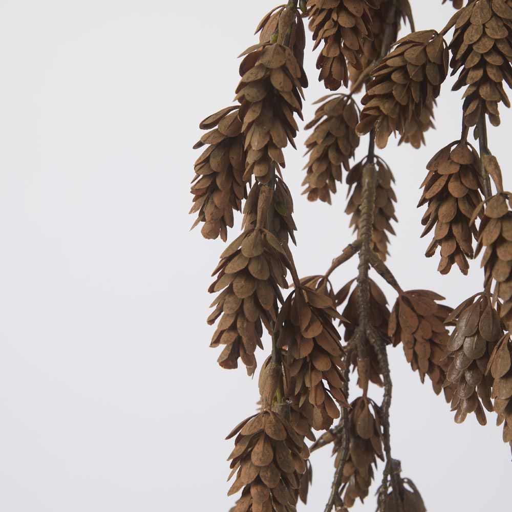 Hanging Pinecone Spray - Pure Apotheca