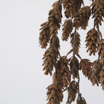 Hanging Pinecone Spray - Pure Apotheca