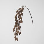 Hanging Pinecone Spray - Pure Apotheca