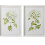 Hawfen Hydrangea Frame Glass Print 50x70cm - Pure Apotheca