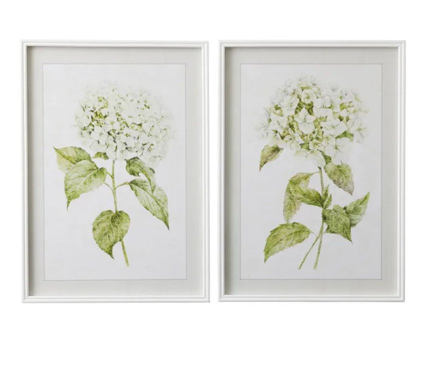 Hawfen Hydrangea Frame Glass Print 50x70cm - Pure Apotheca