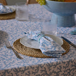 HAYMAN BLUE NAPKIN SET/4 - Pure Apotheca