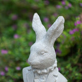 Hector Hare Bust Sculpture - Pure Apotheca
