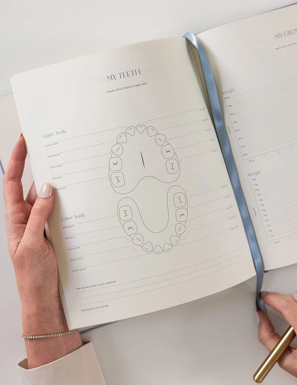 Heirloom Baby’s First Year Memory Journal - Luna Blue - Pure Apotheca