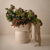 Hellebore Spray Wine 74cm - Pure Apotheca