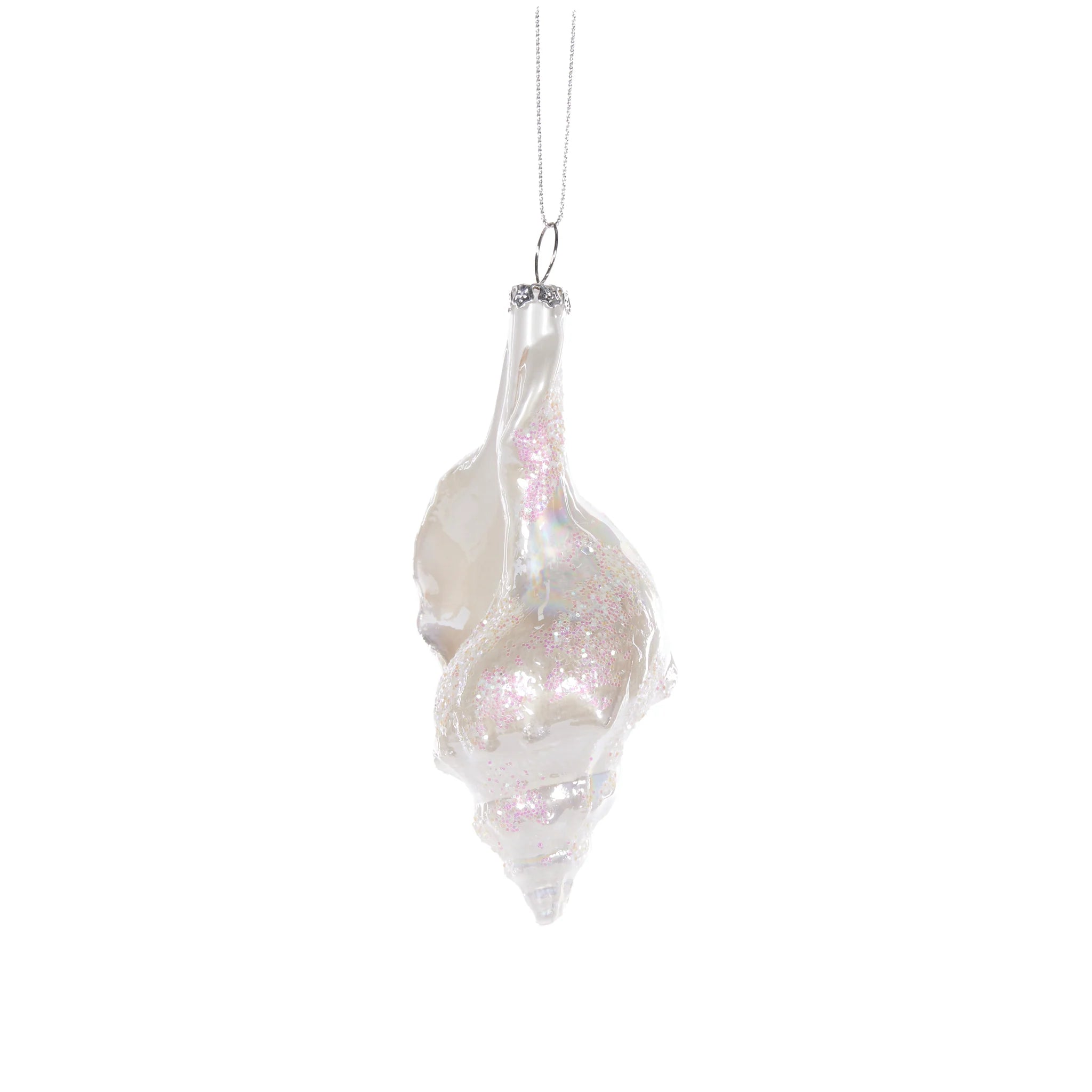 HIGH SHINE QUEEN CONCH WITH PEARLS HANGING - Pure Apotheca