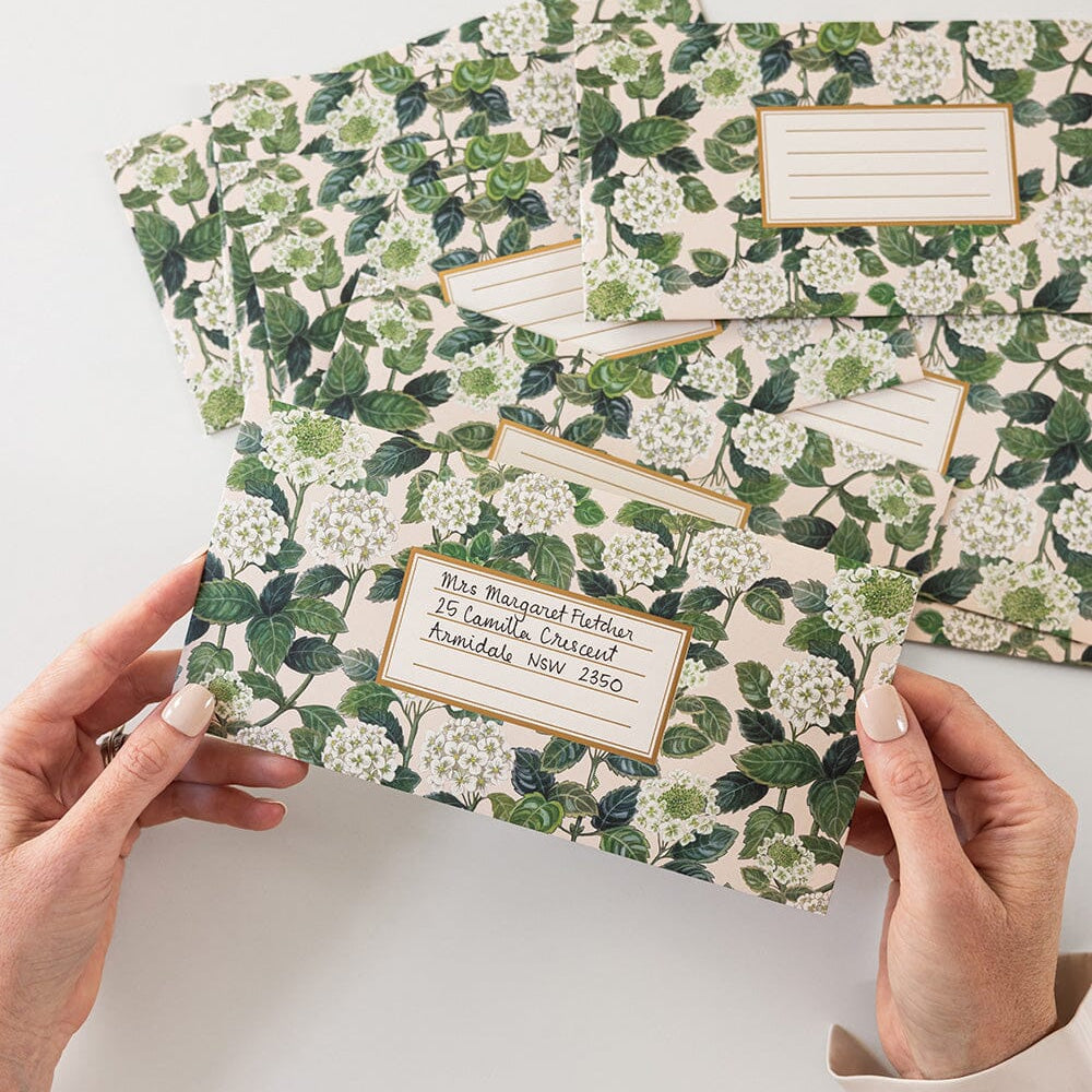 Hydrangea DL Envelopes 10pk - Pure Apotheca