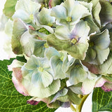 Hydrangea Green Burgundy 52cm - Pure Apotheca
