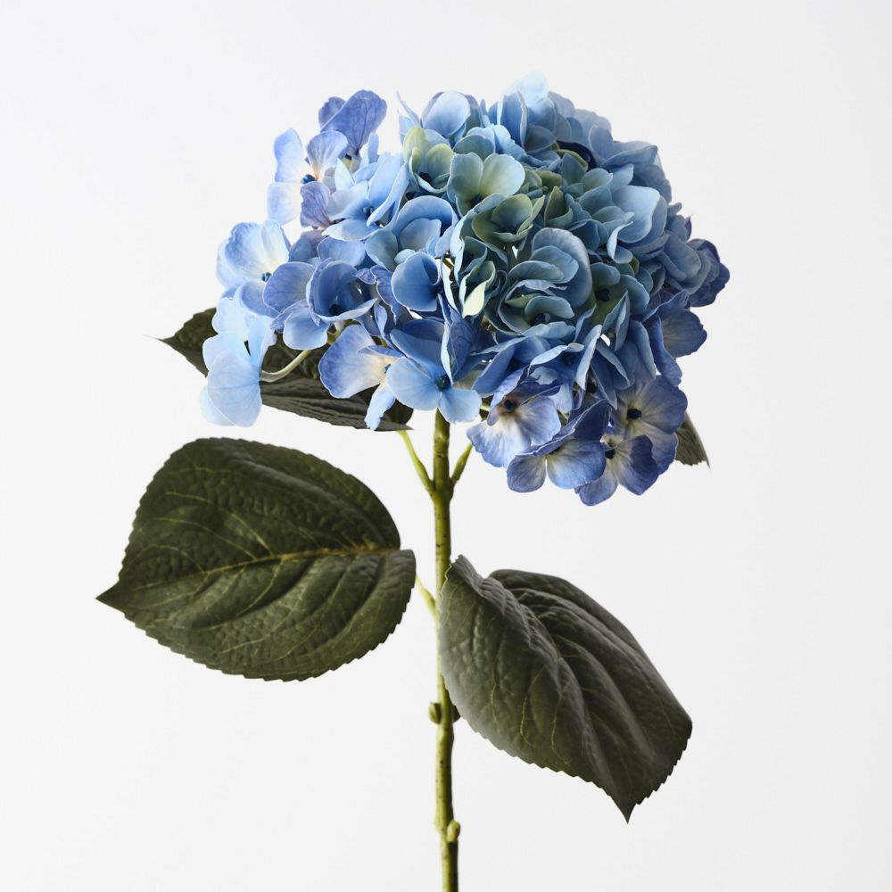 Hydrangea Light Blue 66cm - Pure Apotheca