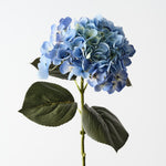 Hydrangea Light Blue 66cm - Pure Apotheca
