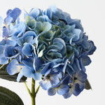 Hydrangea Light Blue 66cm - Pure Apotheca
