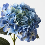 Hydrangea Light Blue 66cm - Pure Apotheca