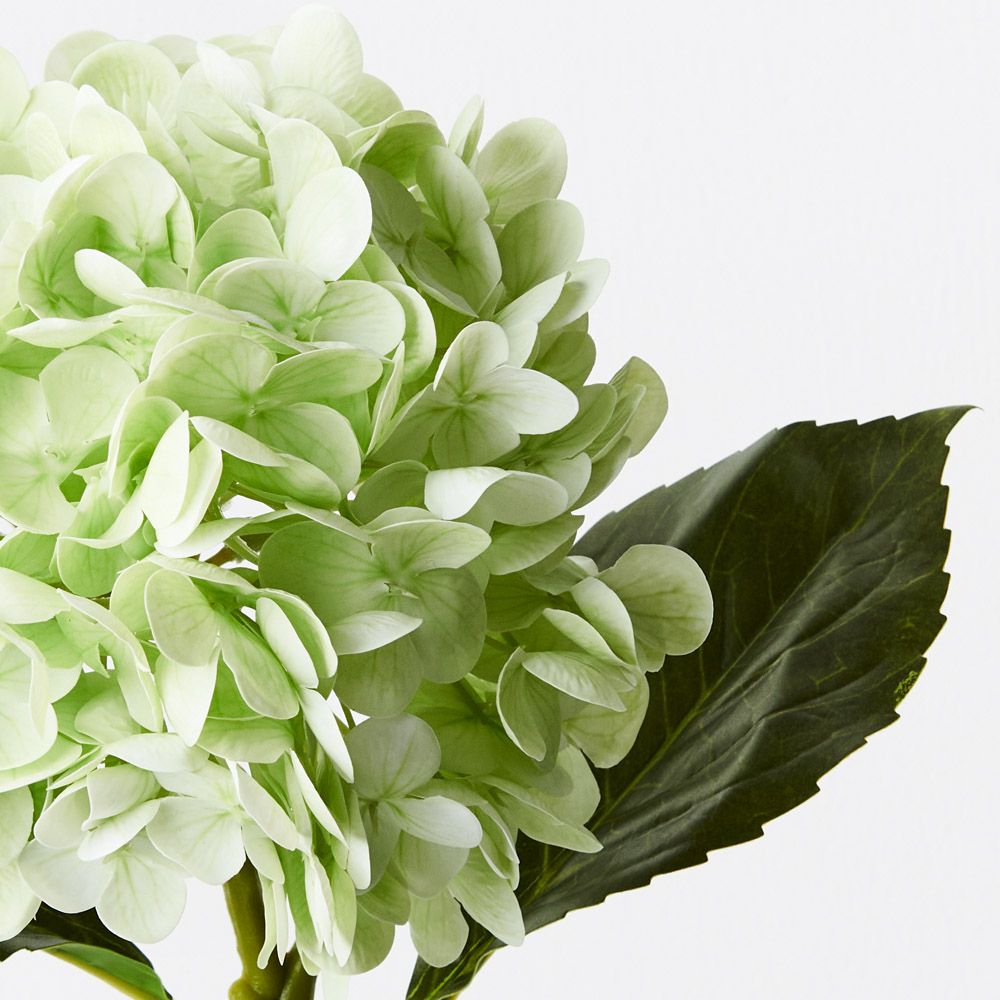 Hydrangea Light Green 49cm - Pure Apotheca