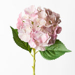 Hydrangea Light Pink 52cm - Pure Apotheca