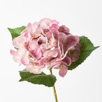 Hydrangea Mauve 63cm - Pure Apotheca