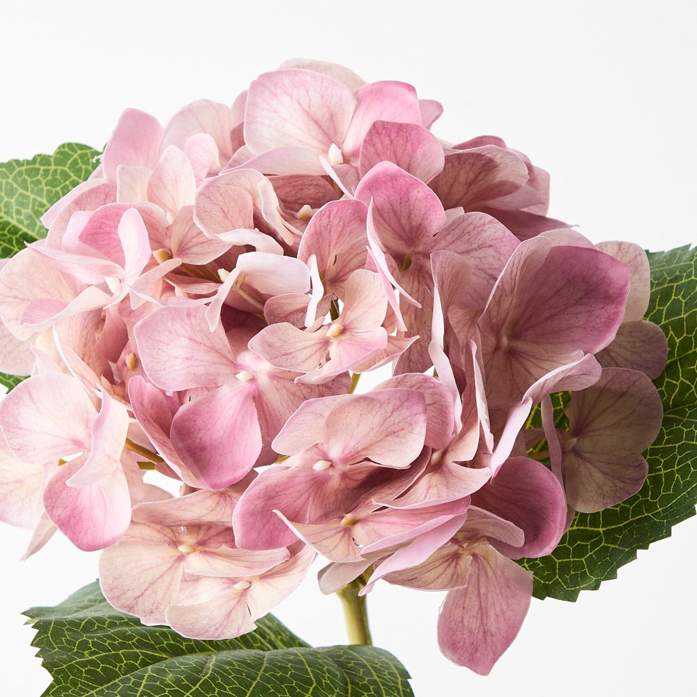 Hydrangea Mauve 63cm - Pure Apotheca