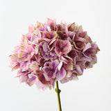 Hydrangea Mauve Green 47cm - Pure Apotheca