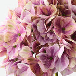 Hydrangea Mauve Green 47cm - Pure Apotheca