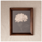 Hydrangea Wall Art - Pure Apotheca