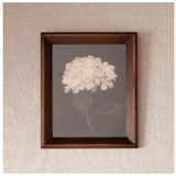 Hydrangea Wall Art - Pure Apotheca