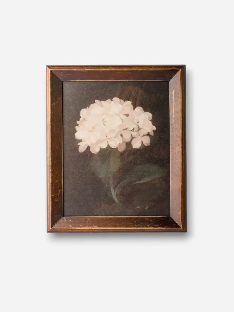 Hydrangea Wall Art - Pure Apotheca