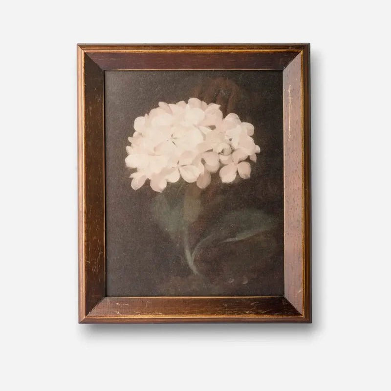 Hydrangea Wall Art - Pure Apotheca
