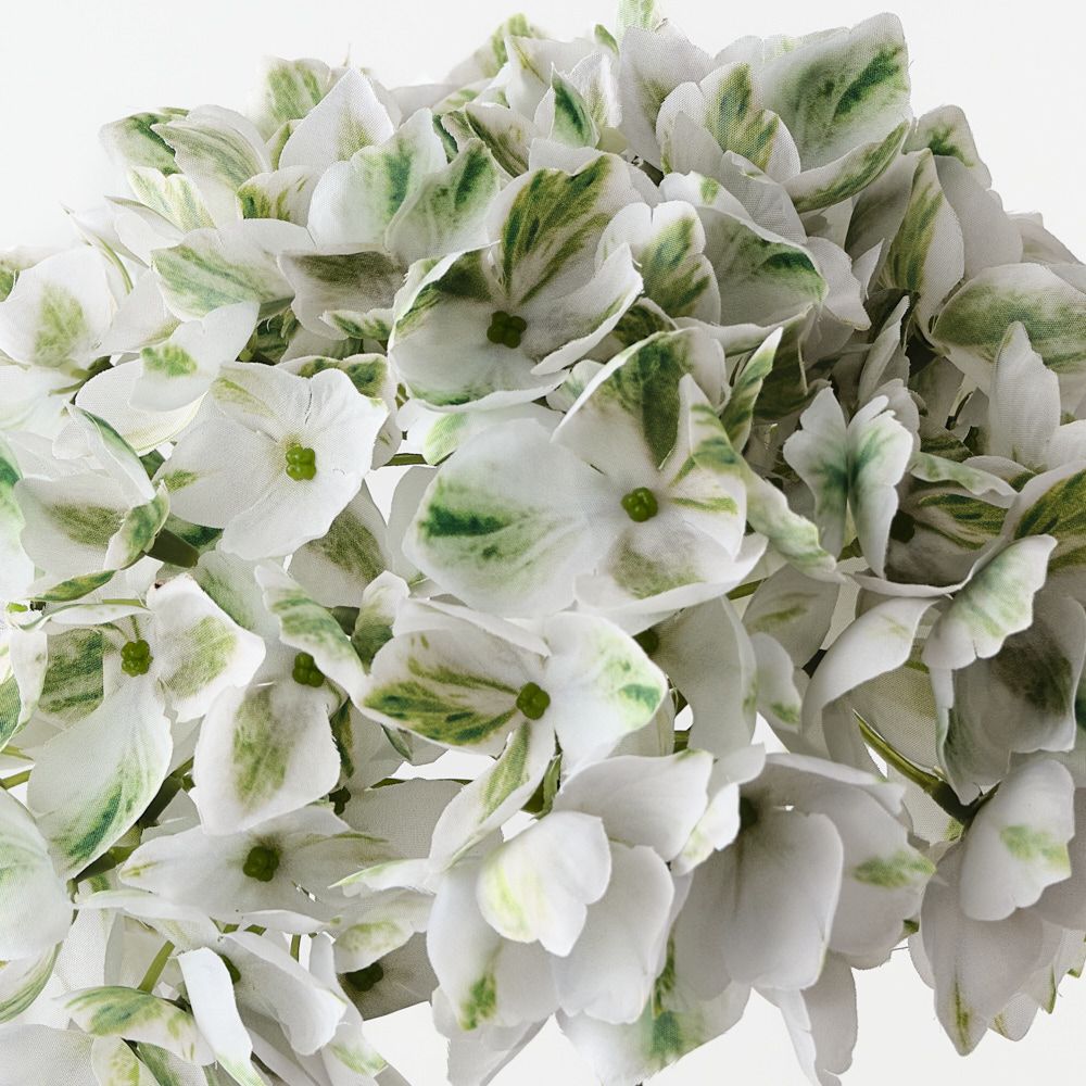 Hydrangea White Green 47cm - Pure Apotheca