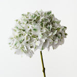 Hydrangea White Green 47cm - Pure Apotheca