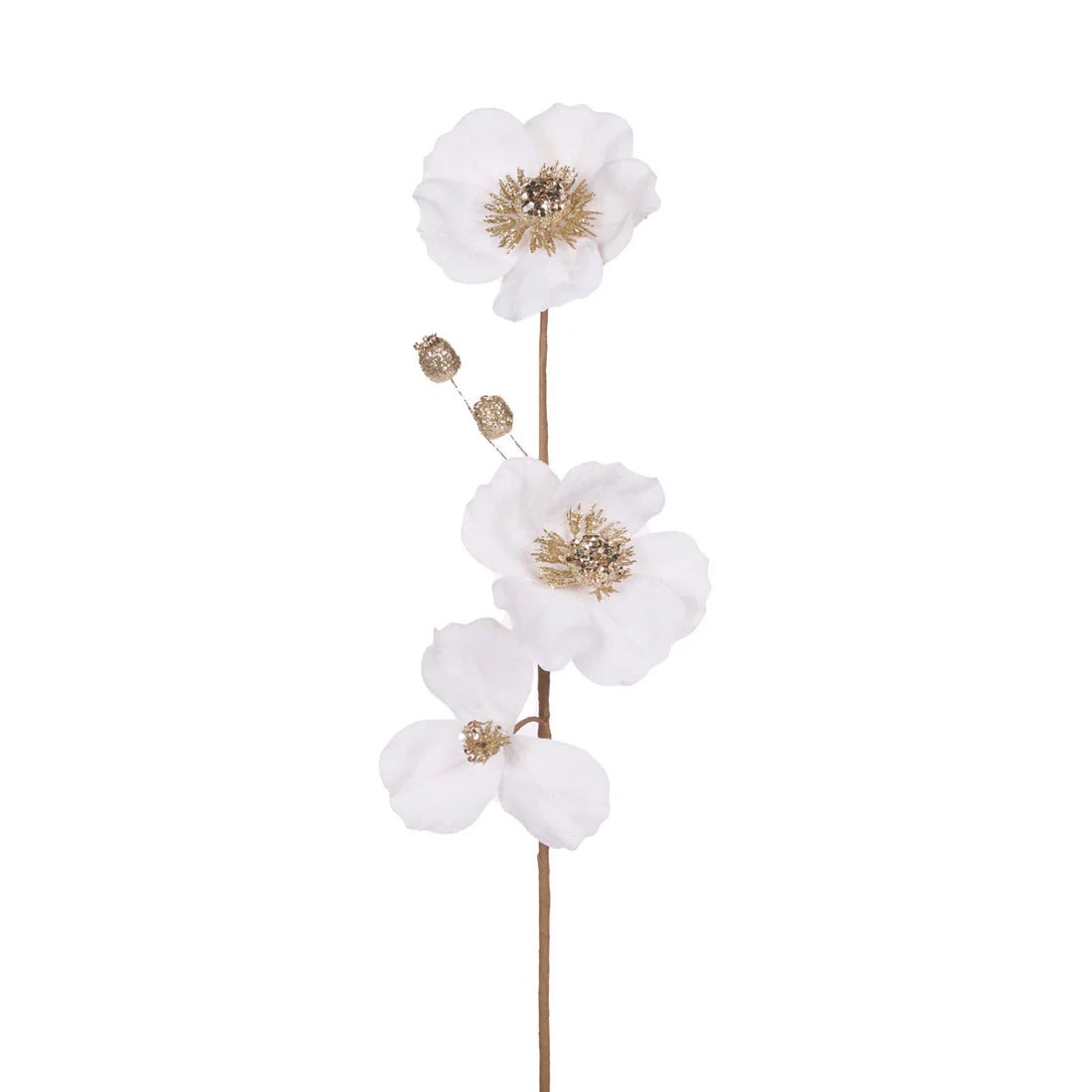 IVORY DOGWOOD SPRAY - Pure Apotheca