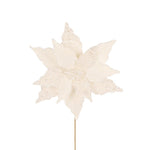 IVORY PEARL POINSETTIA - Pure Apotheca