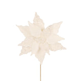 IVORY PEARL POINSETTIA - Pure Apotheca