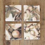 Ivy & Fig Coaster Set/4 - Pure Apotheca