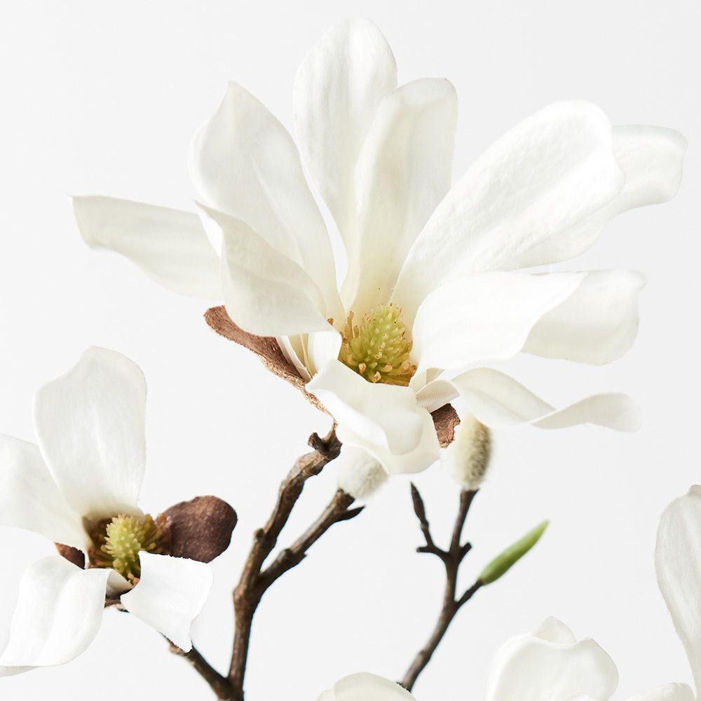 Japanese Magnolia Spray White 55cm - Pure Apotheca