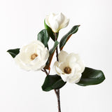 Japanese Magnolia Spray White 74cm - Pure Apotheca