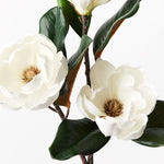 Japanese Magnolia Spray White 74cm - Pure Apotheca