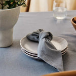 Jetty Mineral Blue Napkin Set/4 - Pure Apotheca