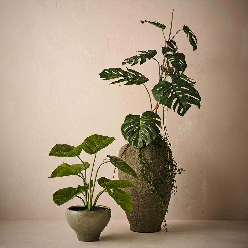 Kero Pot Daintree 20cmh x 28cmd - Pure Apotheca