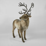 King Elk Standing - Pure Apotheca