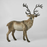 King Elk Standing - Pure Apotheca