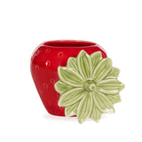 LARGE RED STRAWBERRY CANISTER - Pure Apotheca